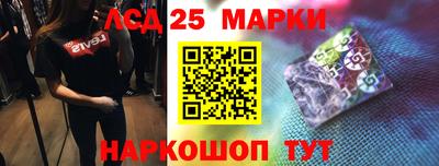 стафф Кингисепп