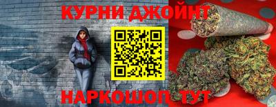 стафф Кингисепп