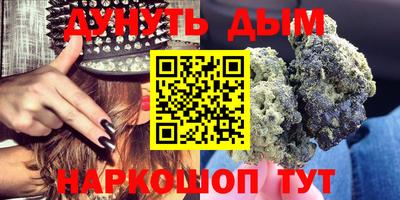 стафф Кингисепп