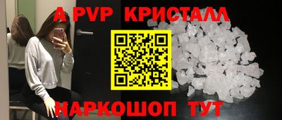 стафф Кингисепп