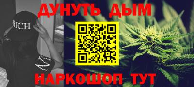 стафф Кингисепп