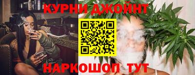 стафф Кингисепп