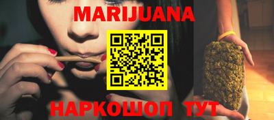 стафф Кингисепп