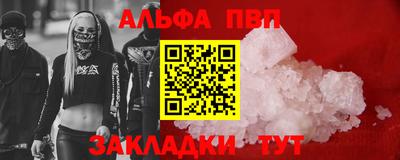 стафф Кингисепп