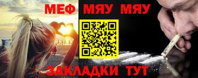 стафф Кингисепп