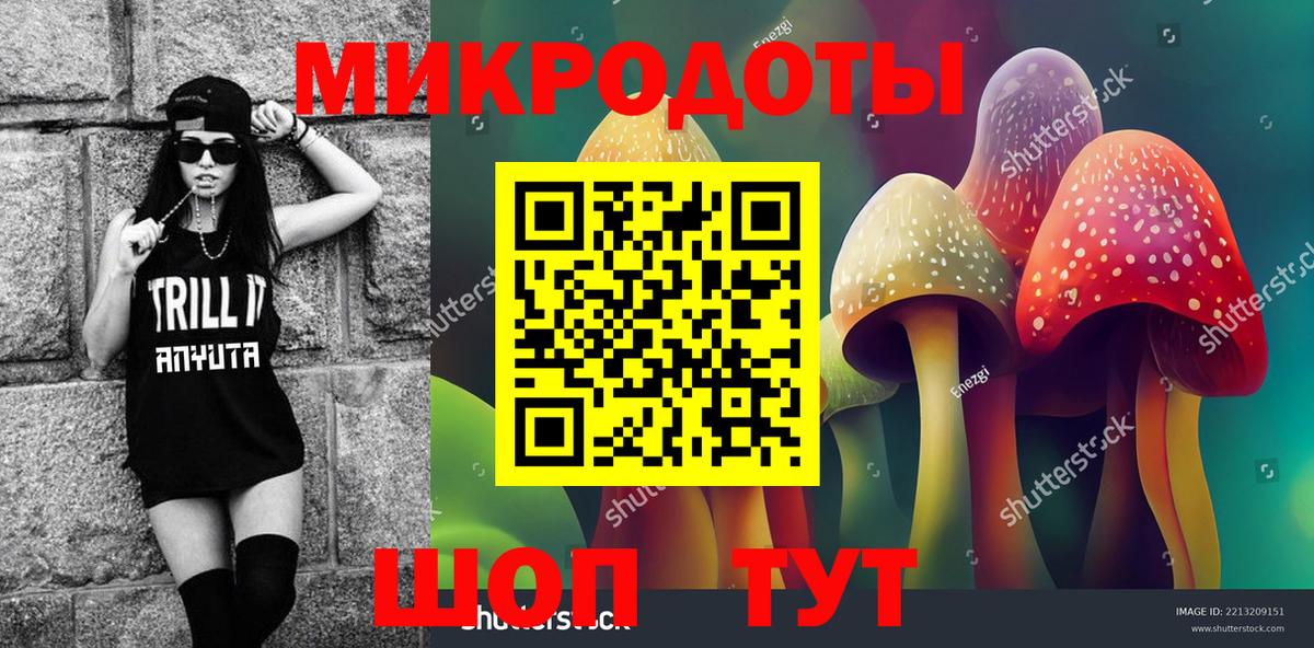Галлюциногенные грибы Psilocybe Владикавказ