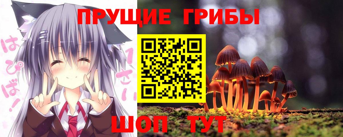 NBOMe  Альфа ПВП СК кристаллы  Мефедрон кристаллы  Владикавказ  МАРИХУАНА  Конопля  Гашиш  Вход с VPN 